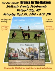 2016 Futurity Poster